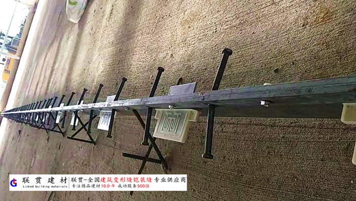 湛江市铠甲缝施工案例